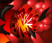 http://www.heroeswm.ru/army_info.php?name=mbreeder