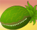http://www.heroeswm.ru/army_info.php?name=plant