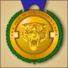 http://www.heroeswm.ru/art_info.php?id=tl_medal3