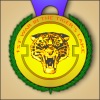 http://www.heroeswm.ru/art_info.php?id=tl_medal1